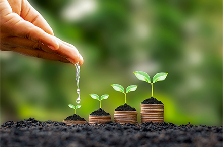 Fixed Deposit Receipt (FDR)