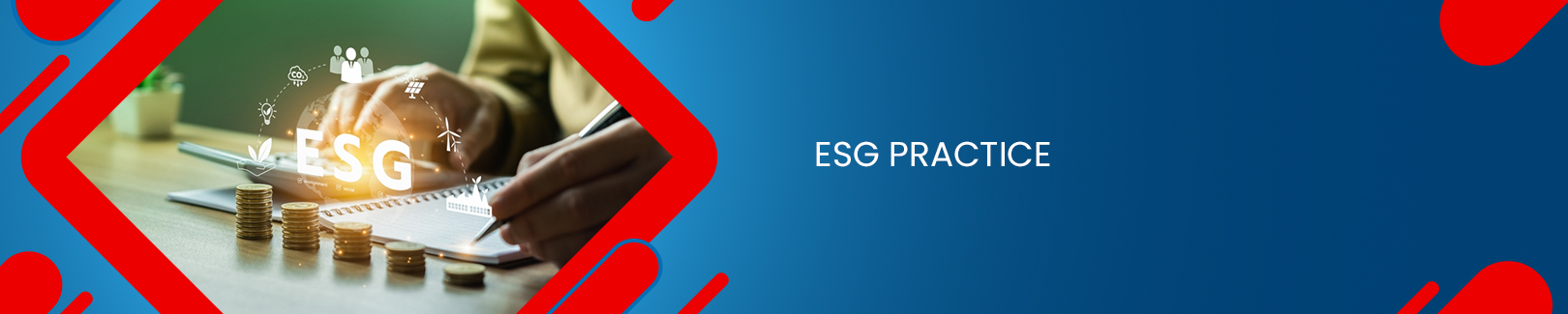 ESG Practice