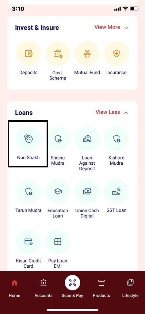 narishakti loan application image